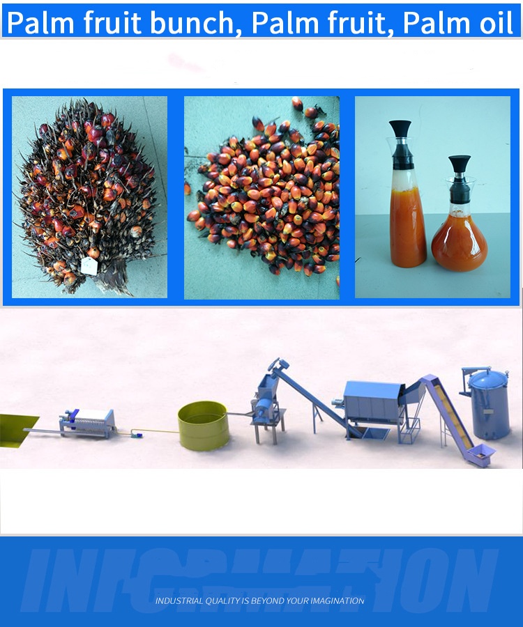 PALM-1 palm fruit oil press(图3)