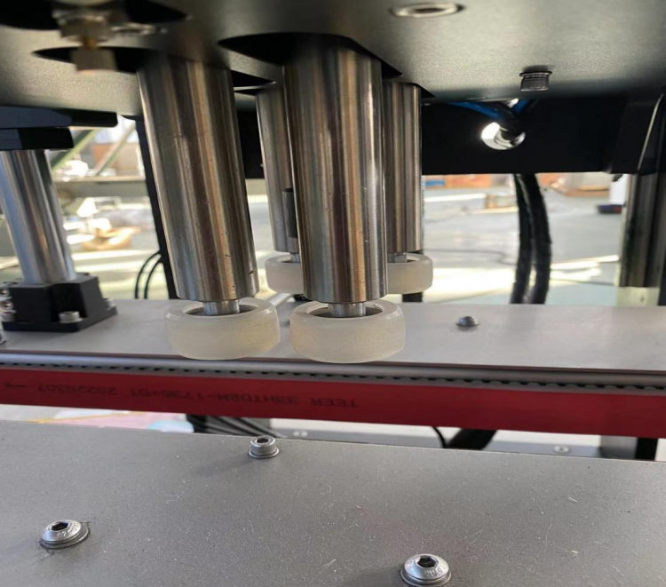 4-head liquid filling production line(图4)