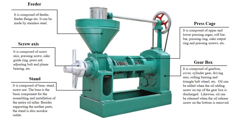 6YL-100 screw oil press(图1)